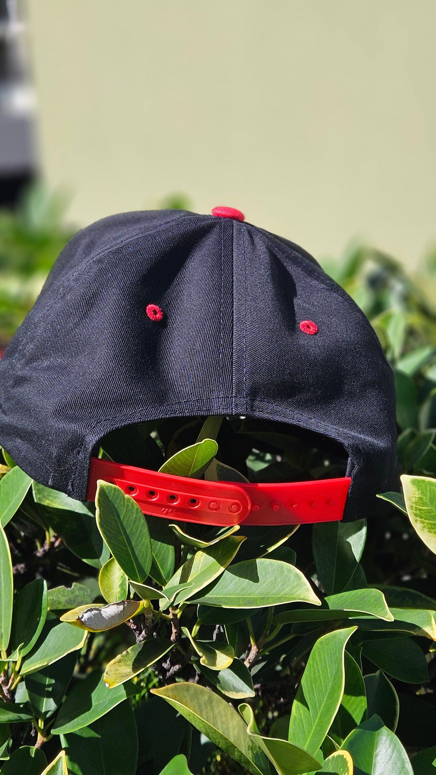 Guam-Flatbill-Ifanything