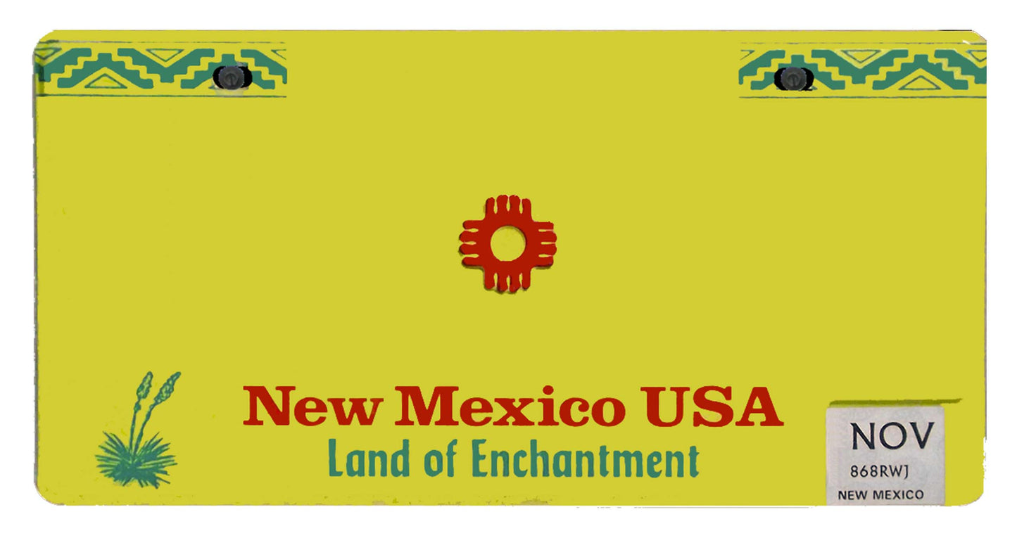 United States - Decor State License Plates - Custom Text