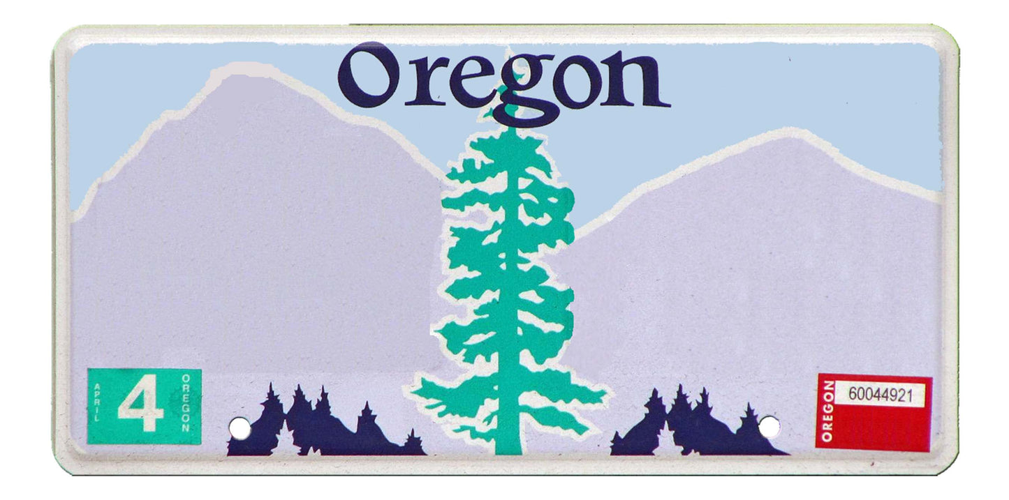 United States - Decor State License Plates - Custom Text