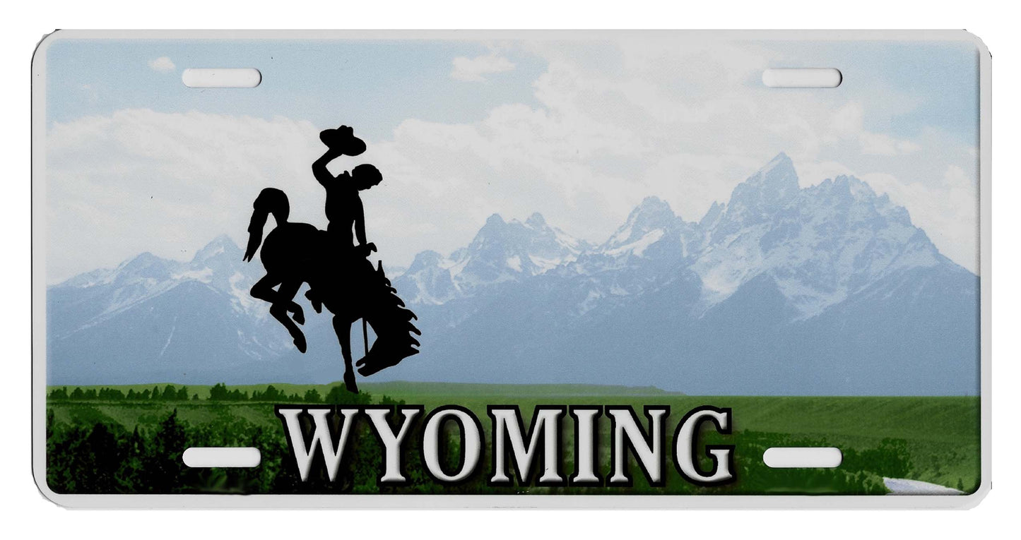 United States - Decor State License Plates - Custom Text
