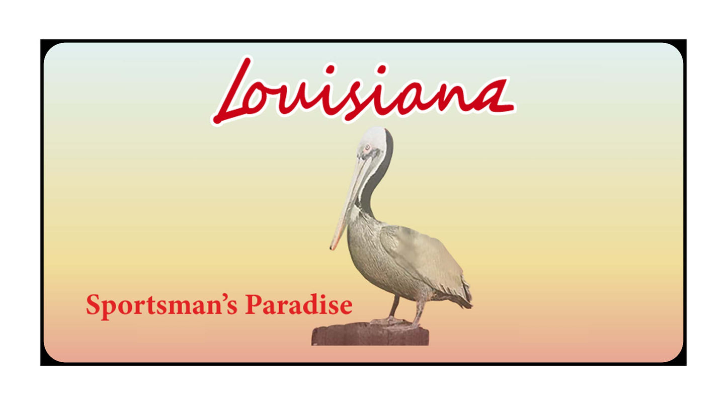 United States - Decor State License Plates - Custom Text