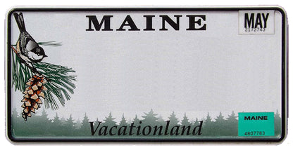 United States - Decor State License Plates - Custom Text
