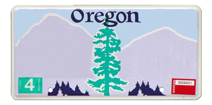 United States - Decor State License Plates - Custom Text