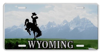United States - Decor State License Plates - Custom Text